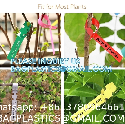 Tree Tags Plastic Plant Labels Wrap, Plant Tags Nursery Tags, Plant Identification Stakes, Garden Tags, Multicolors