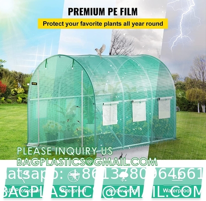 Portable Plant GreenHouse Zippered Door Windows, Galvanized Steel Hoops, Glass Greenhouse, Polycarbonate Greenhouse