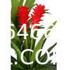 Artificial Agave Plant Potted Plants, Artificial Plant Perfect for Home Office Indoor Decoration