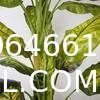 Artificial Golden Dieffenbachia Plant 43 Inch Tall Fake Tropical Lifelike Tree in Pot Silk Faux Dark Green Plant