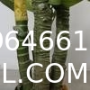 Artificial Golden Dieffenbachia Plant 43 Inch Tall Fake Tropical Lifelike Tree in Pot Silk Faux Dark Green Plant