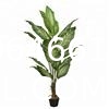Artificial Golden Dieffenbachia Plant 43 Inch Tall Fake Tropical Lifelike Tree in Pot Silk Faux Dark Green Plant
