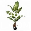 Artificial Golden Dieffenbachia Plant 43 Inch Tall Fake Tropical Lifelike Tree in Pot Silk Faux Dark Green Plant