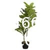 Artificial Fiddle Leaf Fig Tree 6ft Tall 86 Decorative Faux Fiddle Leaves Fake Fig Silk Tree In Pot Artificial Tree