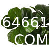 Artificial Fiddle Leaf Fig Tree 6ft Tall 86 Decorative Faux Fiddle Leaves Fake Fig Silk Tree In Pot Artificial Tree