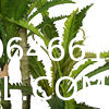 Customized High Quality High Destiny Artificial Nest Fern Tree Plant Independent-Design Ornamental Artificial