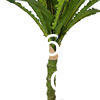 Customized High Quality High Destiny Artificial Nest Fern Tree Plant Independent-Design Ornamental Artificial