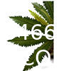 Customized High Quality High Destiny Artificial Nest Fern Tree Plant Independent-Design Ornamental Artificial