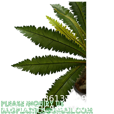 Customized High Quality High Destiny Artificial Nest Fern Tree Plant Independent-Design Ornamental Artificial
