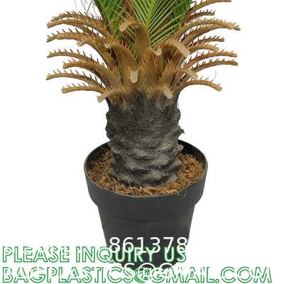 Gorgeous Cycas Revoluta Sago Palm Tree Artificial Plant with Nursery Pot, Feel Real Technology, 28 Long & Giant
