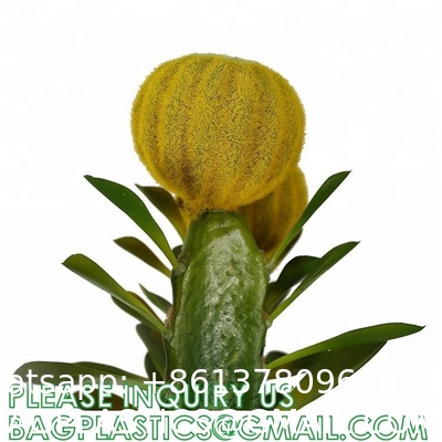 Artificial Cactus Fake Big Cactus 36 Inch Faux Cacti Plants For Home Garden Office Store Decoration