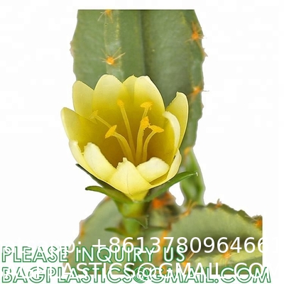 Pear Cactus Artificial Cactus Fake Big Cacti Pick Tall Faux Bunny Ear Plants for Home Garden Office Store Decor