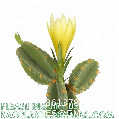 Pear Cactus Artificial Cactus Fake Big Cacti Pick Tall Faux Bunny Ear Plants for Home Garden Office Store Decor