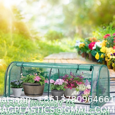Winter Mini Home Flower Plant Outdoor Sloping Top Waterproof Backyard Walking Plastic Garden Greenhouse Walk In