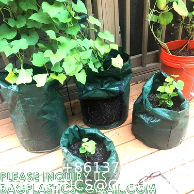 Potato Grow Bags, 4 Pack 10 Gallon With Flap And Handles Planter Pots For Onion, Fruits, Tomato, Carrot - Green