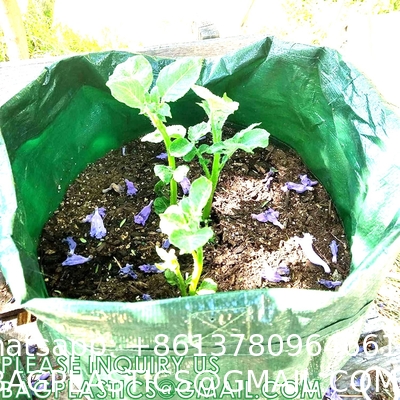 Potato Grow Bags, 4 Pack 10 Gallon With Flap And Handles Planter Pots For Onion, Fruits, Tomato, Carrot - Green