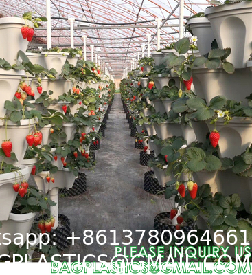 Stackable Planter, Vertical Garden Planter, Strawberry Planter, Indoor/Outdoor, 5 Tier Garden Tower, Herb Plant