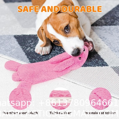 Stuffless Dog Squeaky Toys, Water Bottle Crinkle No Stuffing Squeak Dogs Chew Toy Medium Large Breed Chewers