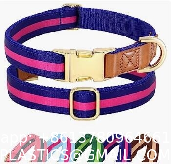 Personalized Nylon Dog Collar Multi Color Durable Pet Collar with Laser Engrave Customized Name Plate