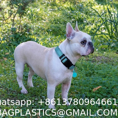Personalized Nylon Dog Collar Multi Color Durable Pet Collar with Laser Engrave Customized Name Plate