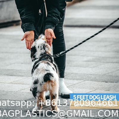 Dog Leash with Comfortable Padded Handle and Highly Reflective Threads for Small Medium and Large Dogs 5FT-1/2