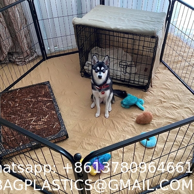 Outdoor Dog Kennels for Large Dogs with Roof, Heavy Duty Metal Dog Enclosures for Outside, Large House Cage Dog Pen