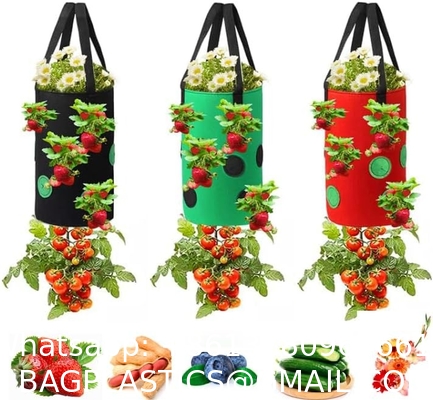 Strawberry Grow Bags, No Gauze Growing Bag, Hole Upside Down Planter Handling Planter Bags, Planting Strawberries