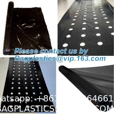 Weed Control Mulch Film, Agriculture Vegetable Black PE Films, 5 Holes Greenhouse Perforated Film