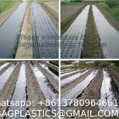 Weed Control Mulch Film, Agriculture Vegetable Black PE Films, 5 Holes Greenhouse Perforated Film