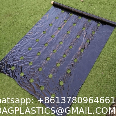Weed Control Mulch Film, Agriculture Vegetable Black PE Films, 5 Holes Greenhouse Perforated Film