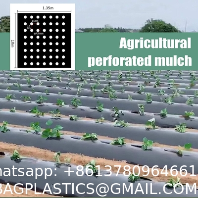 Weed Control Mulch Film, Agriculture Vegetable Black PE Films, 5 Holes Greenhouse Perforated Film