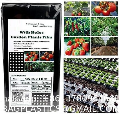 Weed Control Mulch Film, Agriculture Vegetable Black PE Films, 5 Holes Greenhouse Perforated Film
