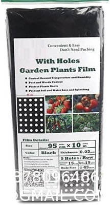 Weed Control Mulch Film, Agriculture Vegetable Black PE Films, 5 Holes Greenhouse Perforated Film