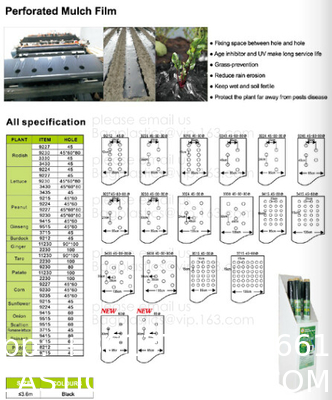 Weed Control Mulch Film, Agriculture Vegetable Black PE Films, 5 Holes Greenhouse Perforated Film