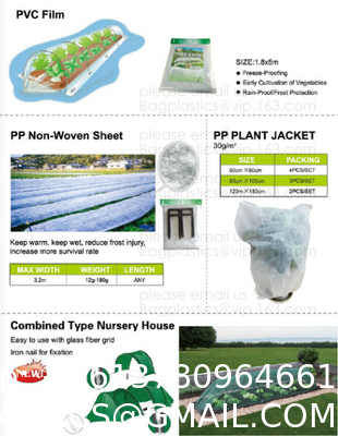 Weed Control Mulch Film, Agriculture Vegetable Black PE Films, 5 Holes Greenhouse Perforated Film