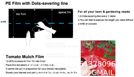 Weed Control Mulch Film, Agriculture Vegetable Black PE Films, 5 Holes Greenhouse Perforated Film
