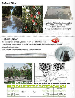 Weed Control Mulch Film, Agriculture Vegetable Black PE Films, 5 Holes Greenhouse Perforated Film
