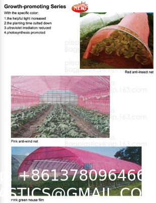 Weed Control Mulch Film, Agriculture Vegetable Black PE Films, 5 Holes Greenhouse Perforated Film