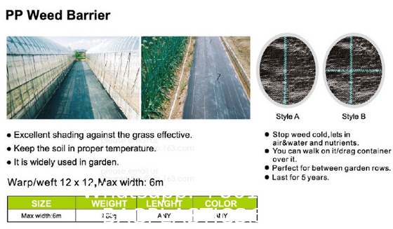 Weed Control Mulch Film, Agriculture Vegetable Black PE Films, 5 Holes Greenhouse Perforated Film