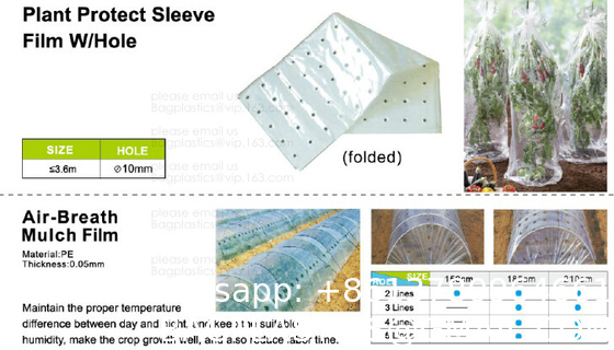 Weed Control Mulch Film, Agriculture Vegetable Black PE Films, 5 Holes Greenhouse Perforated Film