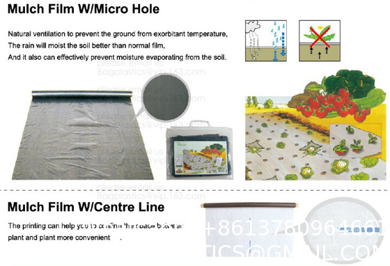 Weed Control Mulch Film, Agriculture Vegetable Black PE Films, 5 Holes Greenhouse Perforated Film