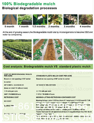 Weed Control Mulch Film, Agriculture Vegetable Black PE Films, 5 Holes Greenhouse Perforated Film