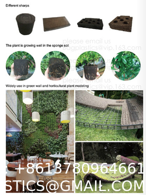 Weed Control Mulch Film, Agriculture Vegetable Black PE Films, 5 Holes Greenhouse Perforated Film