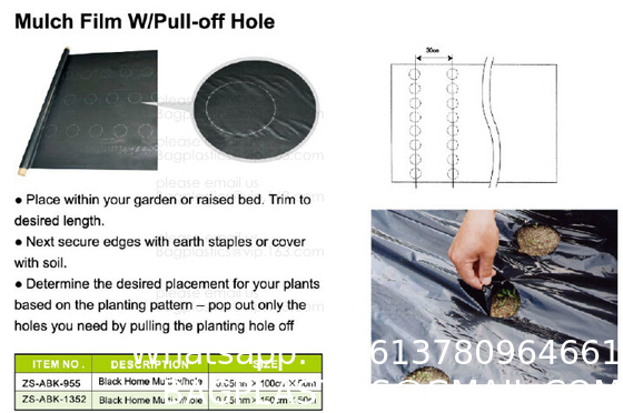 Weed Control Mulch Film, Agriculture Vegetable Black PE Films, 5 Holes Greenhouse Perforated Film