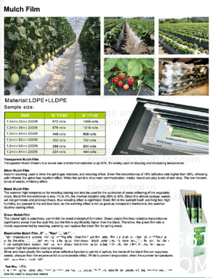 Weed Control Mulch Film, Agriculture Vegetable Black PE Films, 5 Holes Greenhouse Perforated Film
