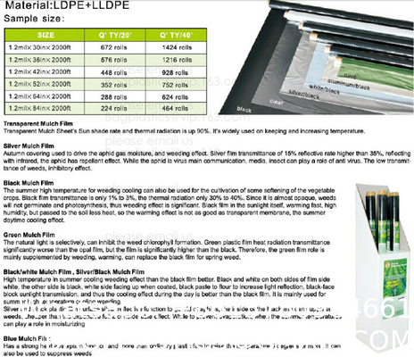 Weed Control Mulch Film, Agriculture Vegetable Black PE Films, 5 Holes Greenhouse Perforated Film