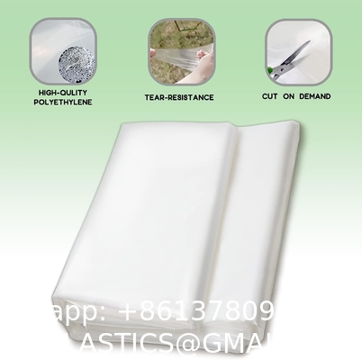 Greenhouse Plastic Sheeting 12x25 ft, 6 mil Clear Film Cover UV-Resistant Polyethylene Greenhouse Film