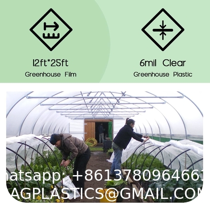 Greenhouse Plastic Sheeting 12x25 ft, 6 mil Clear Film Cover UV-Resistant Polyethylene Greenhouse Film