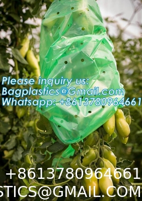 Perforated Tomato Tube Cover Frost Protection Bag Garden Used Cover Tomato Growing Covers Sleeves With Ties