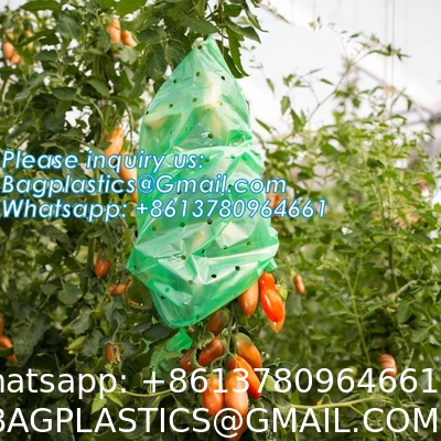 Perforated Tomato Tube Cover Frost Protection Bag Garden Used Cover Tomato Growing Covers Sleeves With Ties